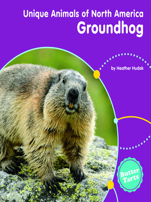 cover image of Groundhog